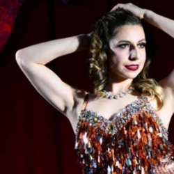 photo of Tigre Violette item TIGREV